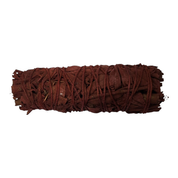Sauge sang de dragon (Fagot 10cm) – Image 2