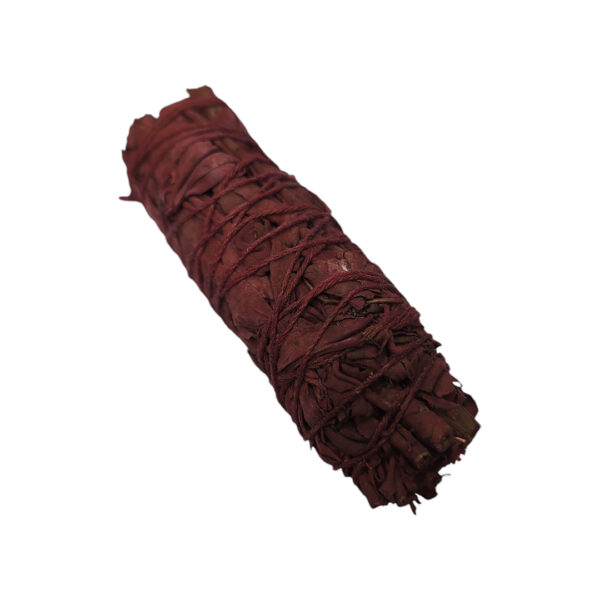 Sauge sang de dragon (Fagot 10cm) – Image 3