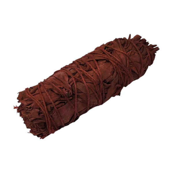 Sauge sang de dragon (Fagot 10cm) – Image 4